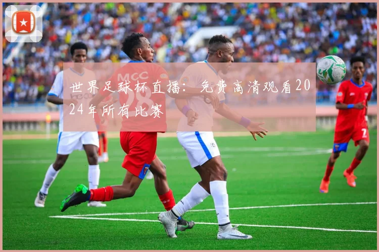 世界足球杯直播:免费高清观看2024年所有比赛