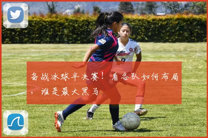 备战冰球半决赛！看各队如何布局，谁是最大黑马